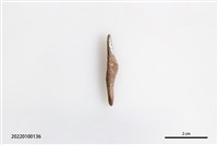 藏品(魚卡子)的圖片